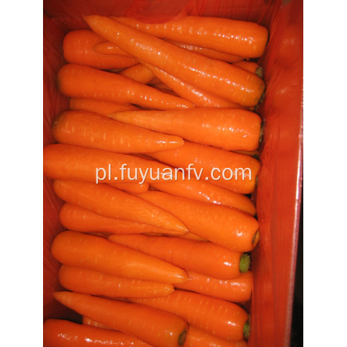 Pyszne świeże marchewki 150-200G